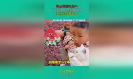 吃瓜宝宝娱乐,揭秘娱乐圈幕后故事，带你领略明星真实生活